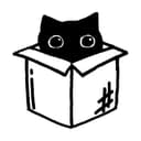 cat in the box