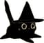 Cat with a witch hat